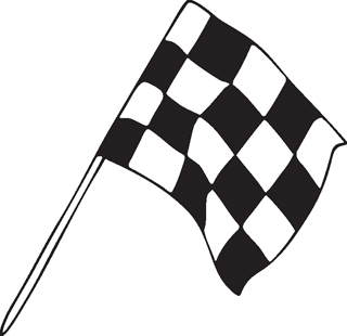 Checkered Flags 48